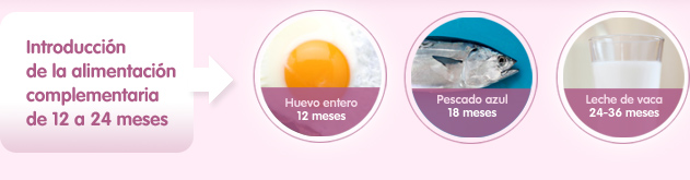 Introducción de la alimentación complementaria de 12 a 24 meses. Huevo entero a partir de los 12 meses. Pescado azul a partir de los 18 meses. Leche de vaca entre los 24 y 36 meses.