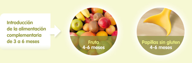 Introducción a la alimentación complementaria de 3 a 6 meses. Fruta de 4 a 6 meses. Papillas sin gluten 4 a 6 meses.