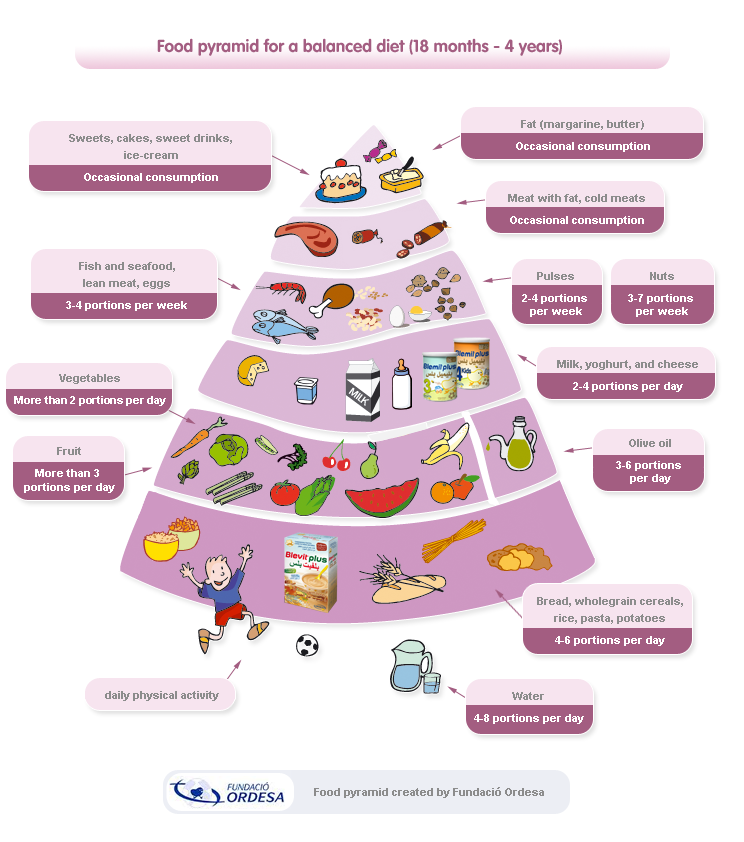 Child nutrition pyramid