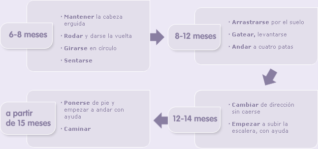 Fases del gateo del bebé de 9 a 12 meses.